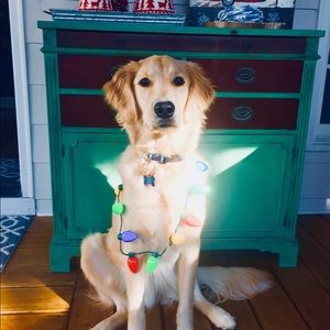 Meet your Posher, Whitney